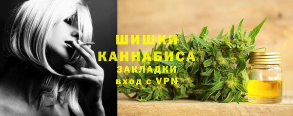 тгк Снежногорск