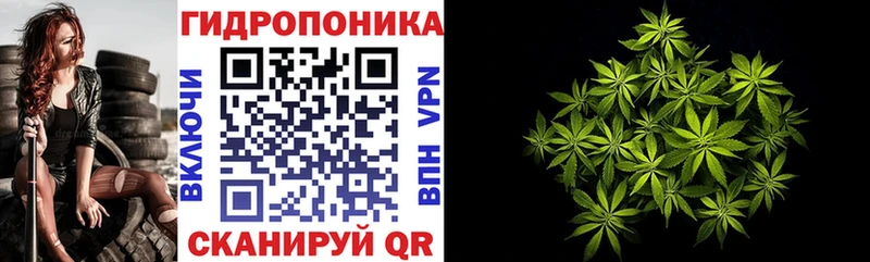 Бошки Шишки конопля  Лебедянь 